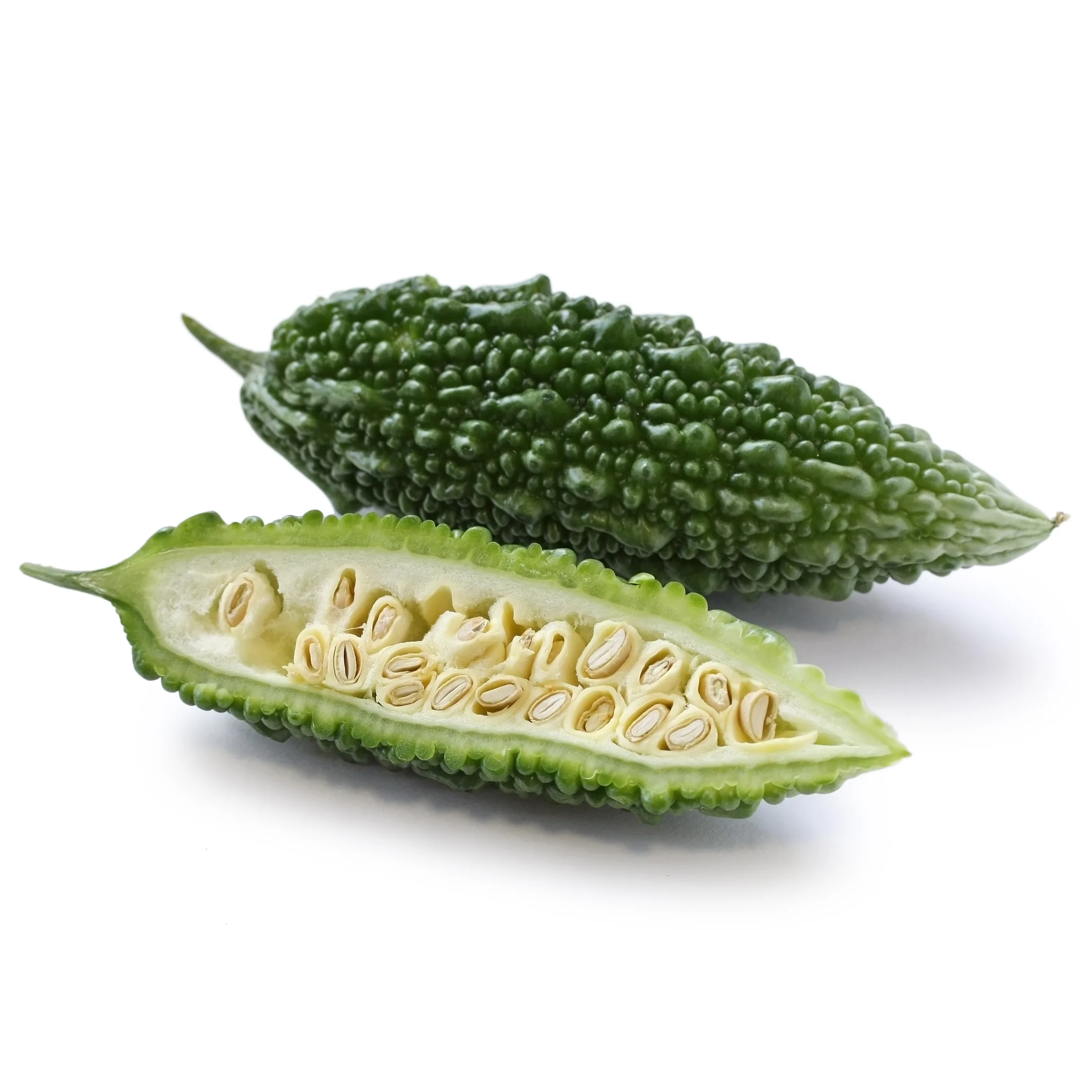 Bitter Gourd seedlings