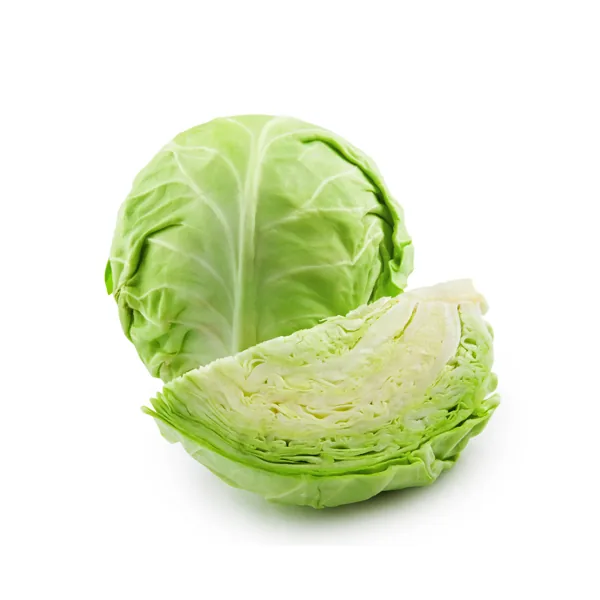 Cabbage seedlings