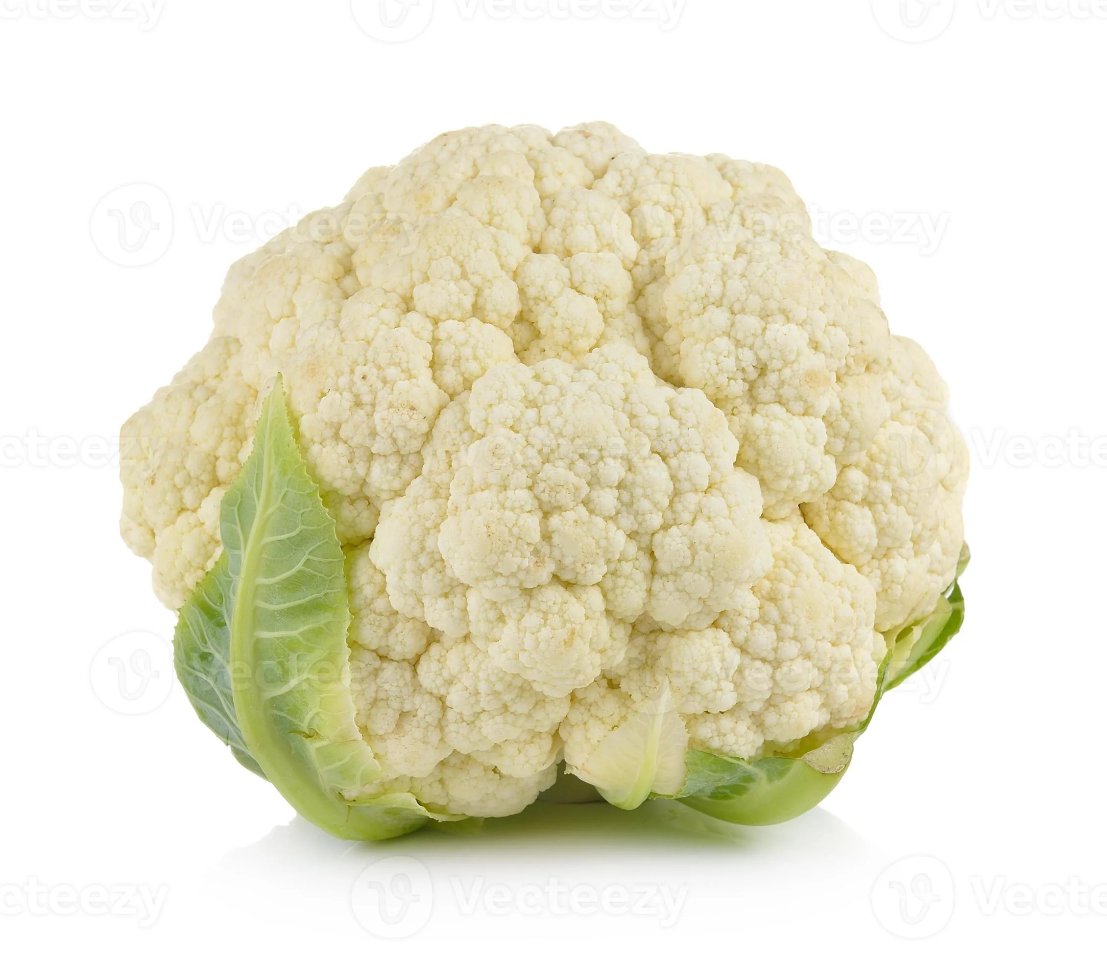 Cauliflower seedlings