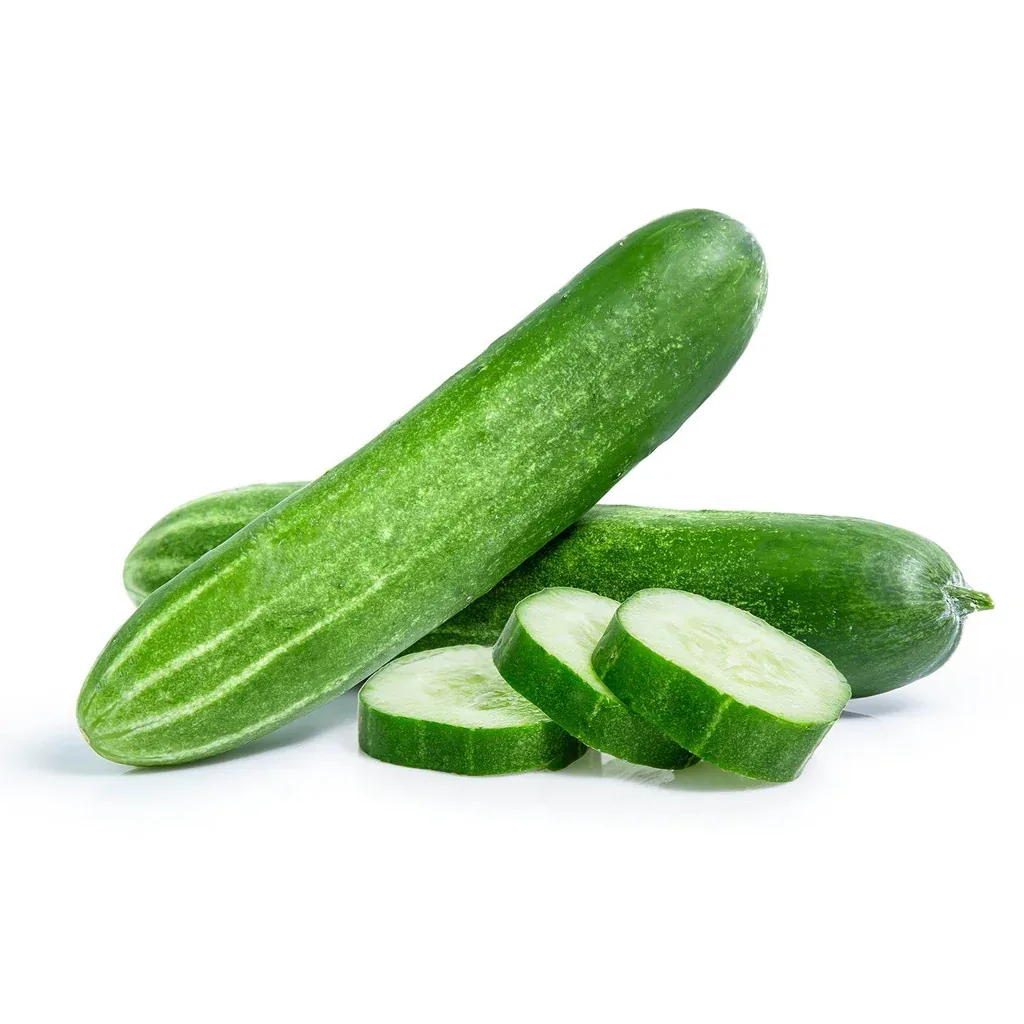 Cucumber seedlings