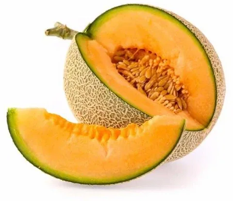 Muskmelon seedlings