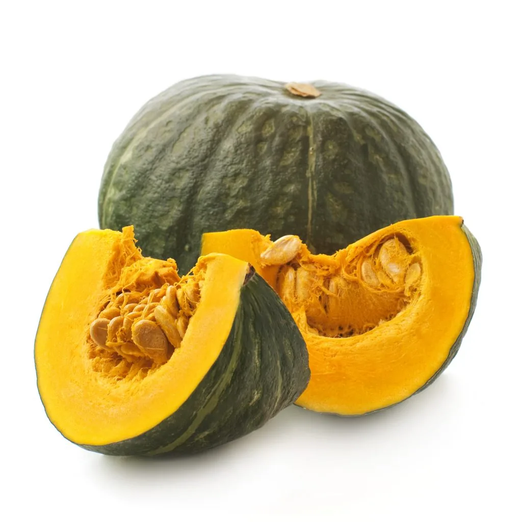 Pumpkin seedlings