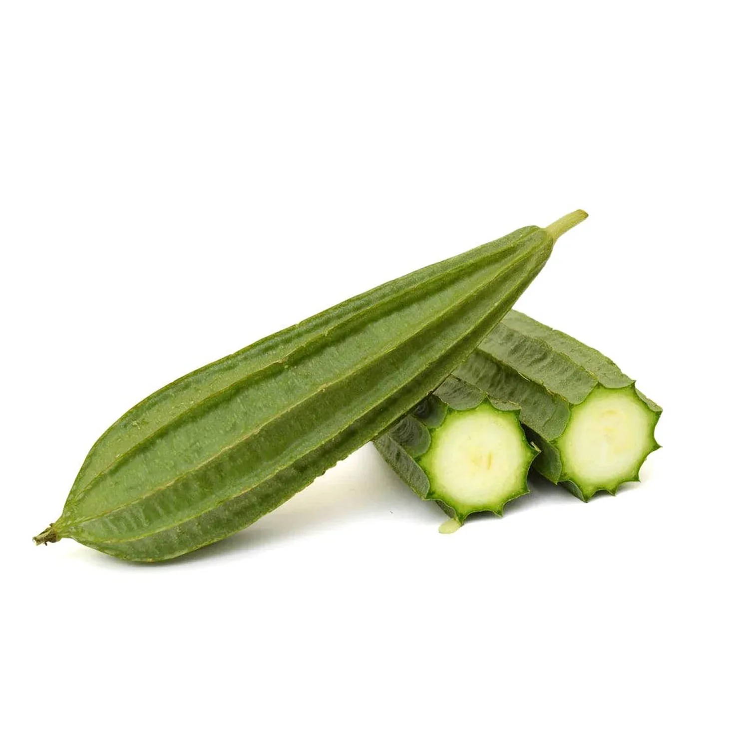 Ridge Gourd seedlings