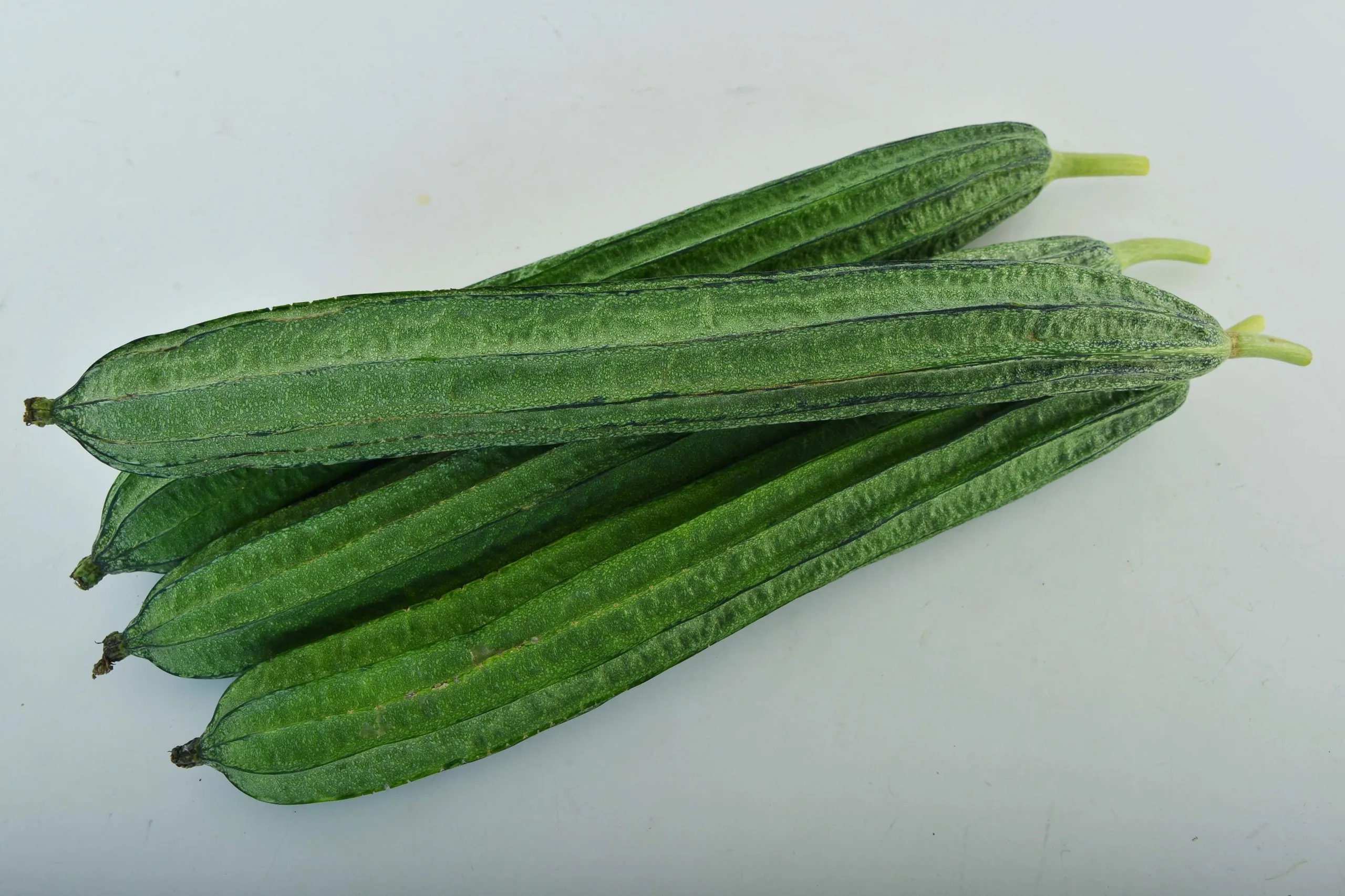 Sponge Gourd seedlings