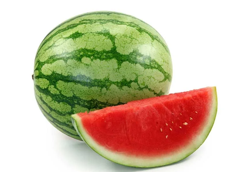Watermelon seedlings